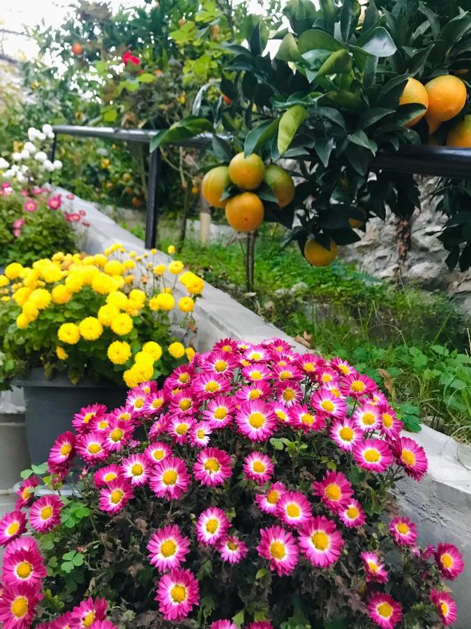 Grandpa'S Home Gjirokaster Luaran gambar